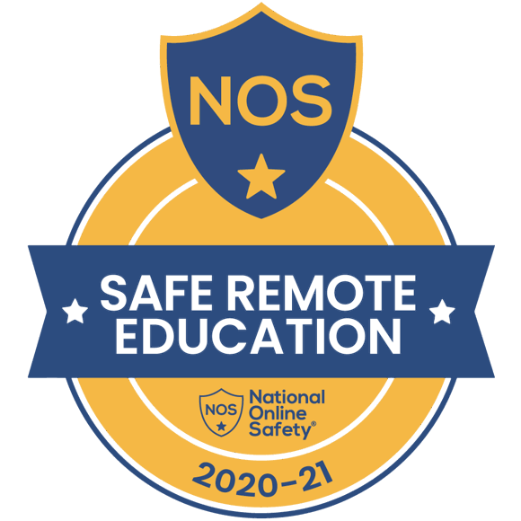 Remote Education 2020 21